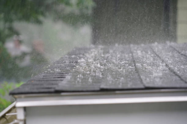 Best Green or Eco-Friendly Roofing Solutions  in Marysville, MI