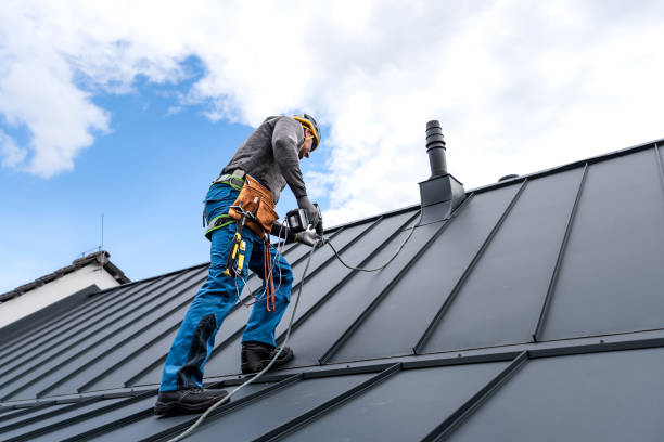 Best Sheet Metal Roofing  in Marysville, MI
